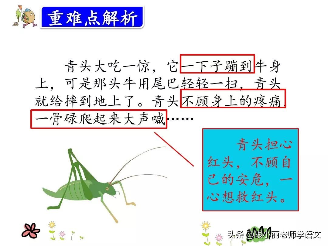 三年级在牛肚子里旅行的中心思想,三上语文在牛肚子里旅行课文讲解