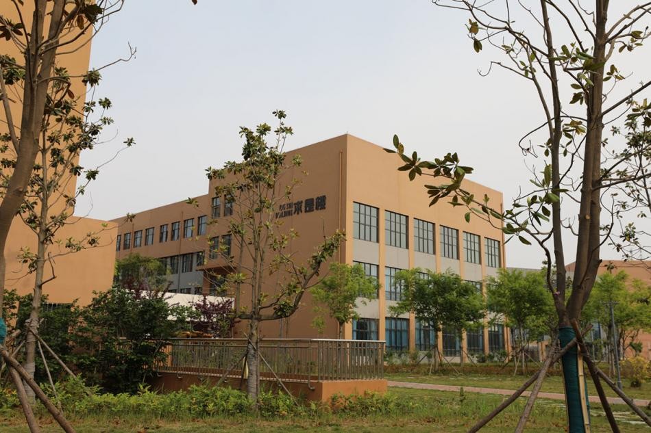 青岛幼儿师范高等专科学校新项目,青岛幼儿师范高等专科学校幼儿园