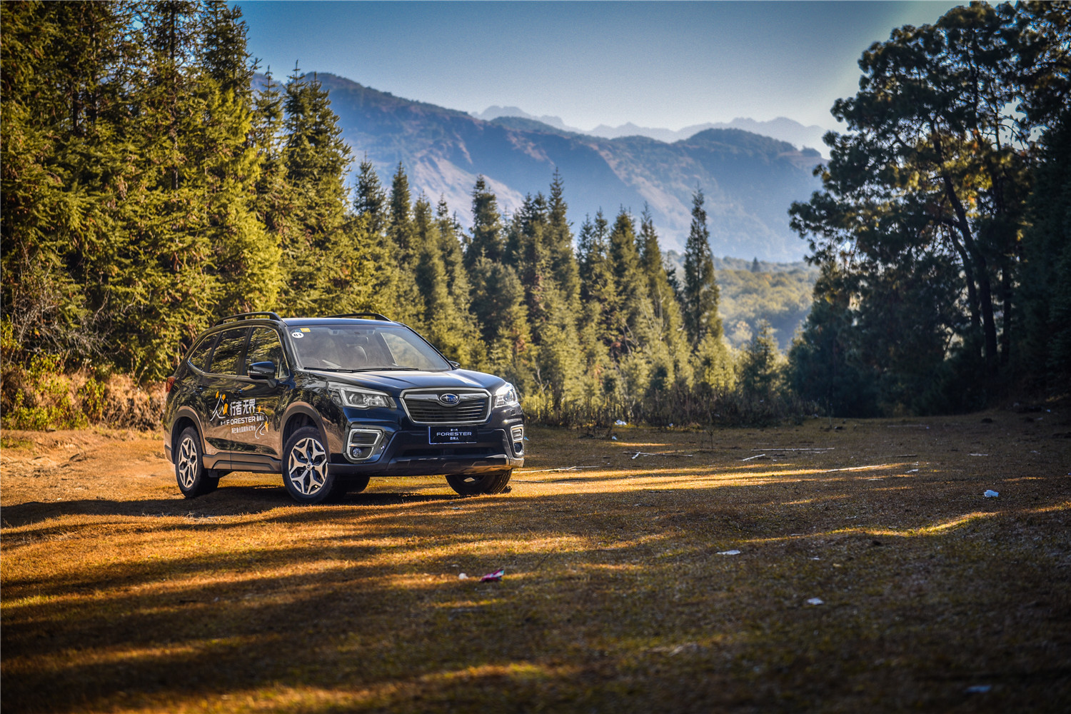 2.0自吸cvt的车能买吗,2.0cvt森林人