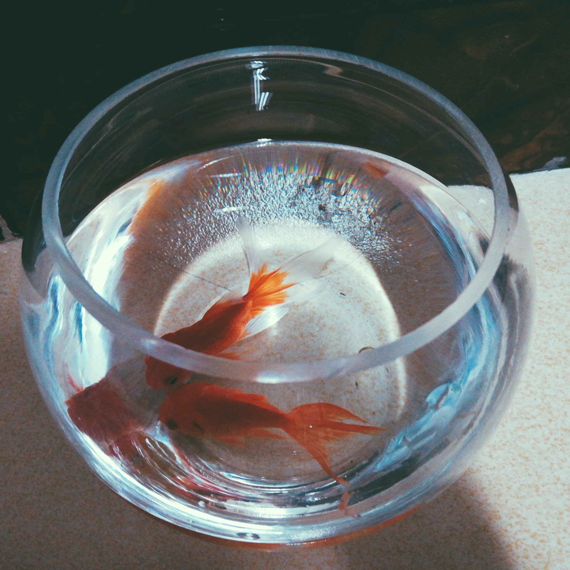 怎么让拍出来的照片更好看软件,用什么软件拍出来的照片很好看