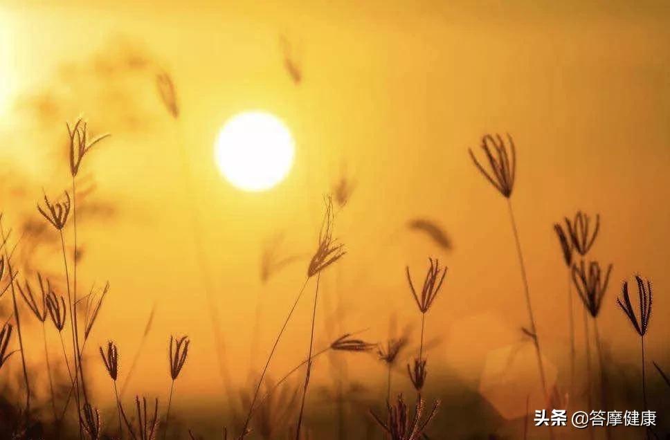 道真的特点有哪些,道真值不值得去