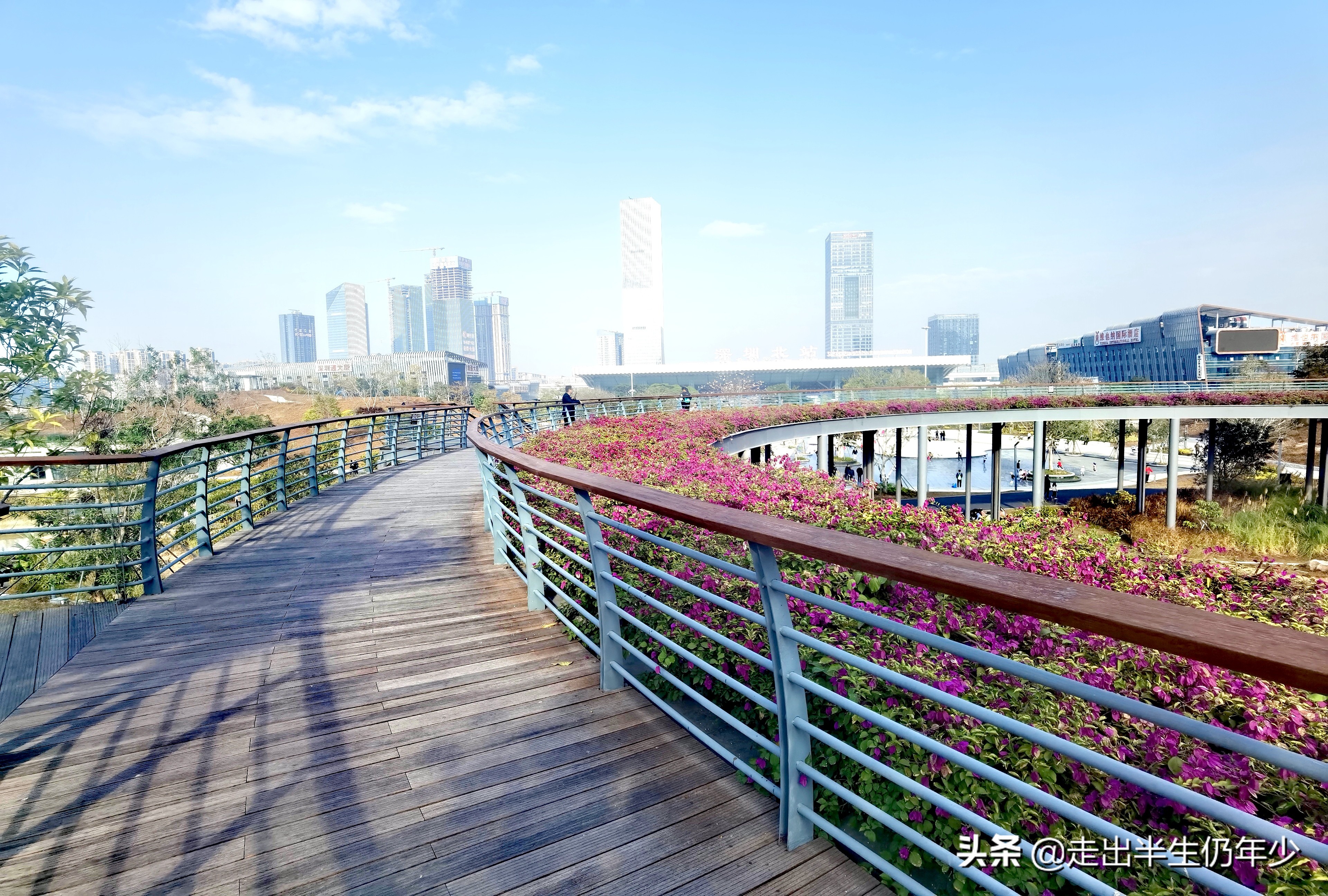 深圳有多少个公园景点,深圳室内足球场