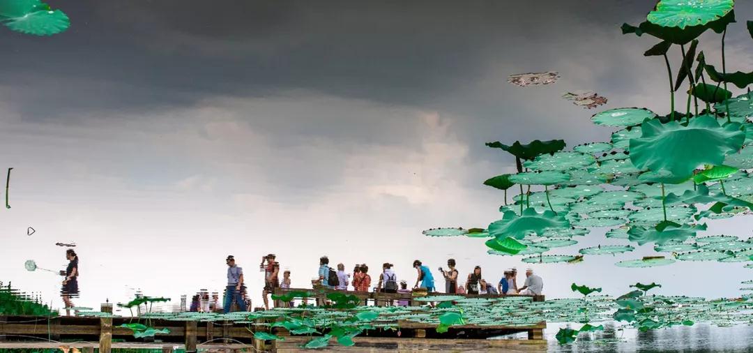 成都——我太爱这里了你叫我怎么戒