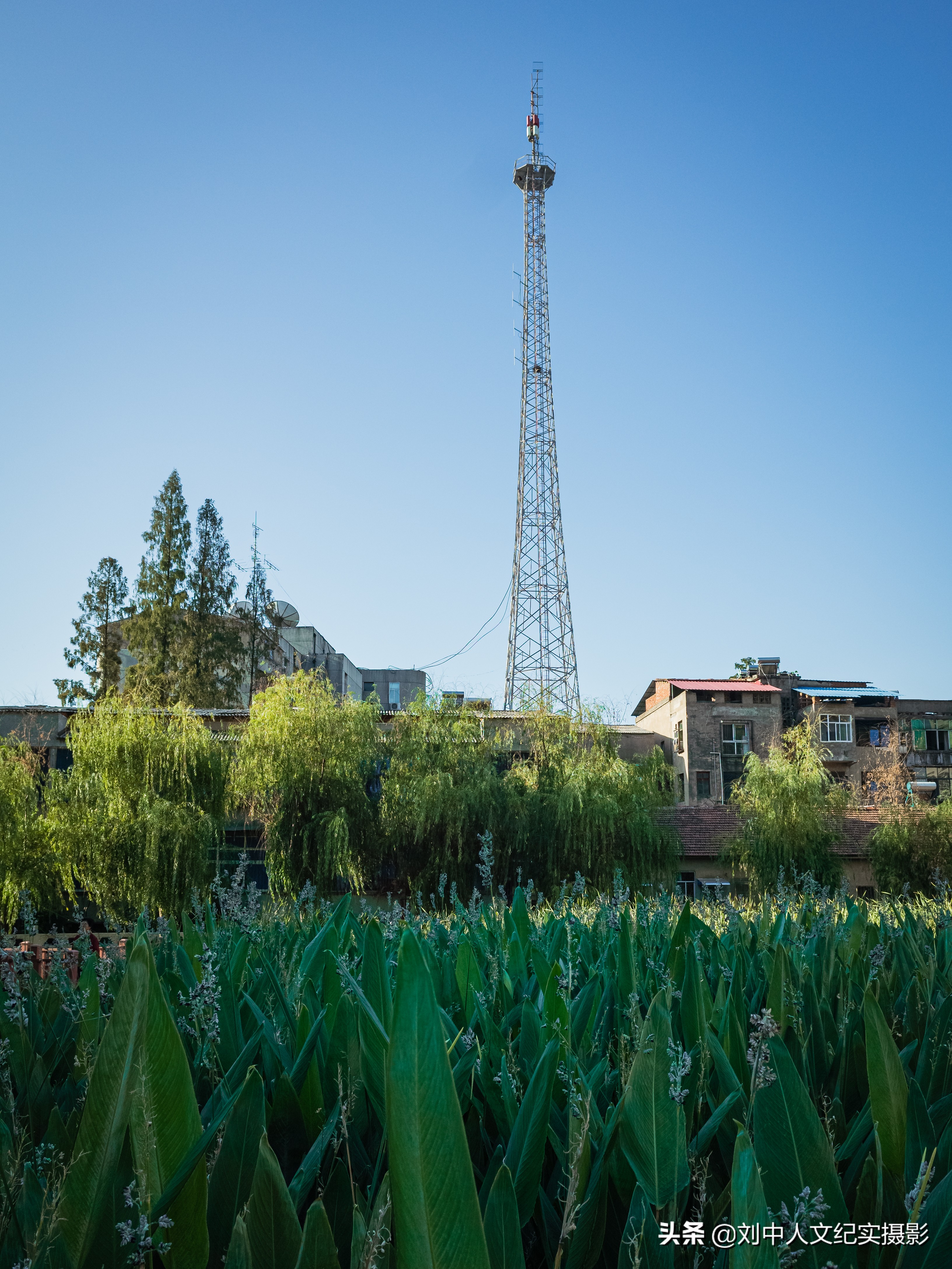 “无陂不成镇”—长期人文摄影（二）—2019年，夏，武汉黄陂前川