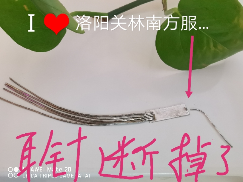 气质长款流苏耳坠戴起来,流苏耳坠才显优雅气质中款