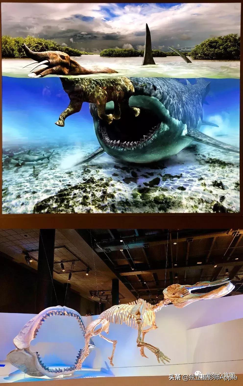 休斯顿酷玩攻略,请收下这份休斯顿酷玩指南