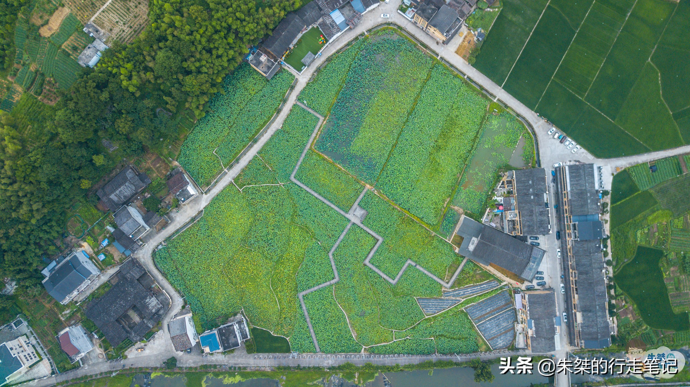 泰顺旅游攻略三日游推荐,泰顺六日游攻略