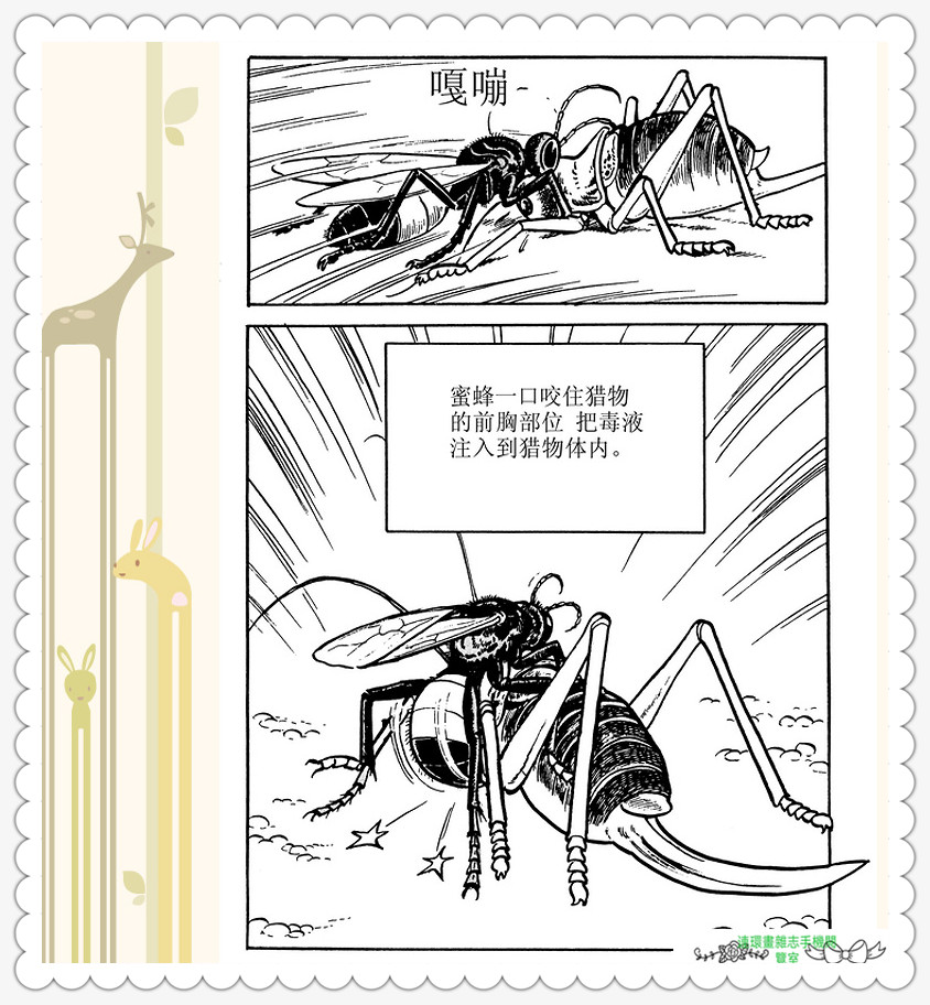 昆虫记法布尔动画片,昆虫记法布尔全套