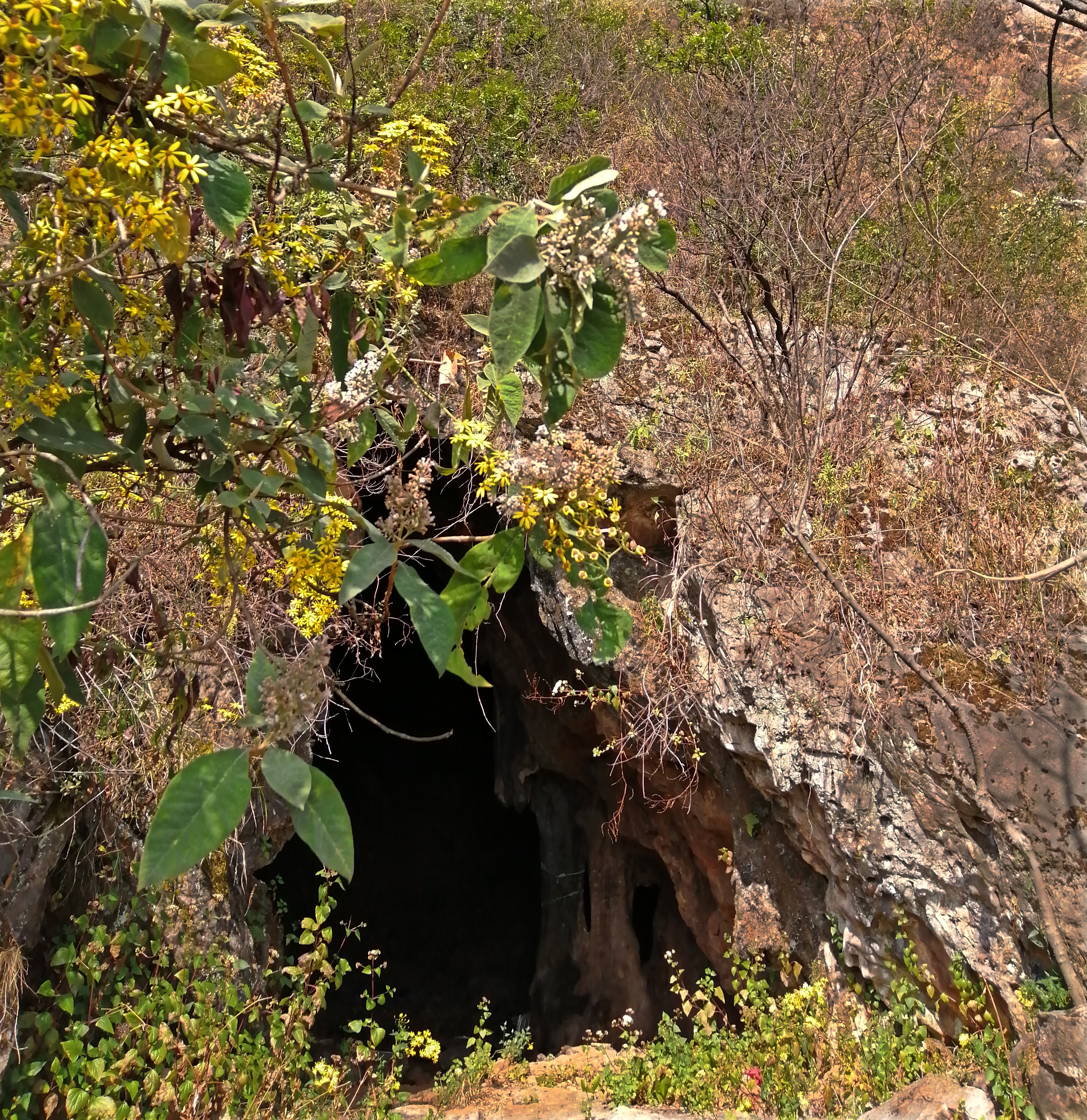 惊喜？悲哀？昆明三环徐霞客探寻过的两个溶洞，还是380年前样子