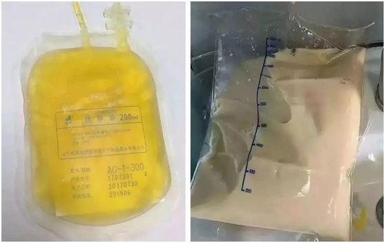 明星们的同学集会照片,明星同学集会照