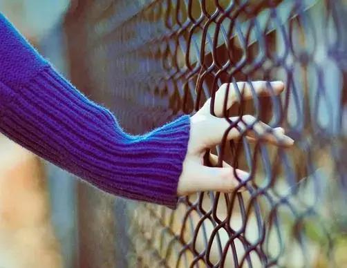 安慰心累的心灵鸡汤经典语录,励志爱情心灵鸡汤语录简短大全