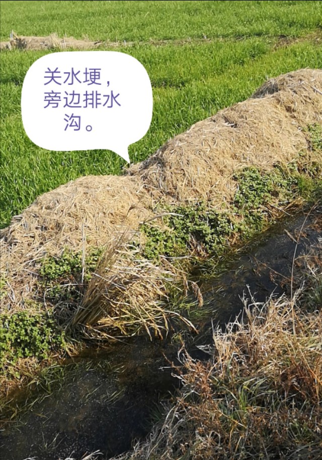 鎵ｉ粍槌濈殑鐪熷疄瑙嗛,鍦ㄥ閲屾墸榛勯碀