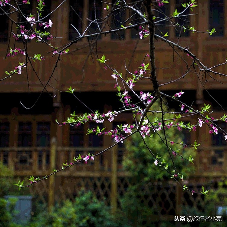 广西十大最值得去旅游景点,广西旅游必去十大景点排名榜