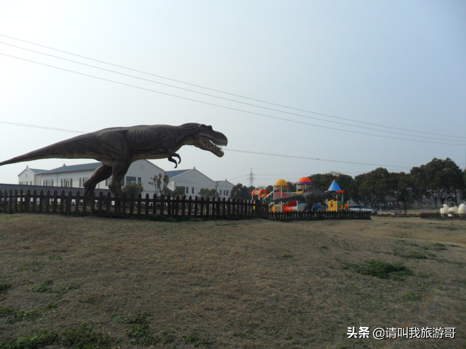 上海马陆葡萄园自由采摘,上海葡萄采摘好去处