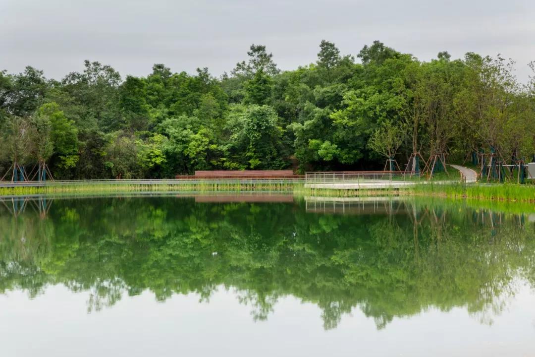 矿坑改造最美公园,矿坑改造湿地公园视频