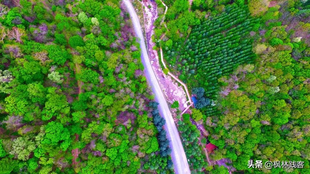 大自然不戴口罩的景点,夏日旅行好去处辽宁