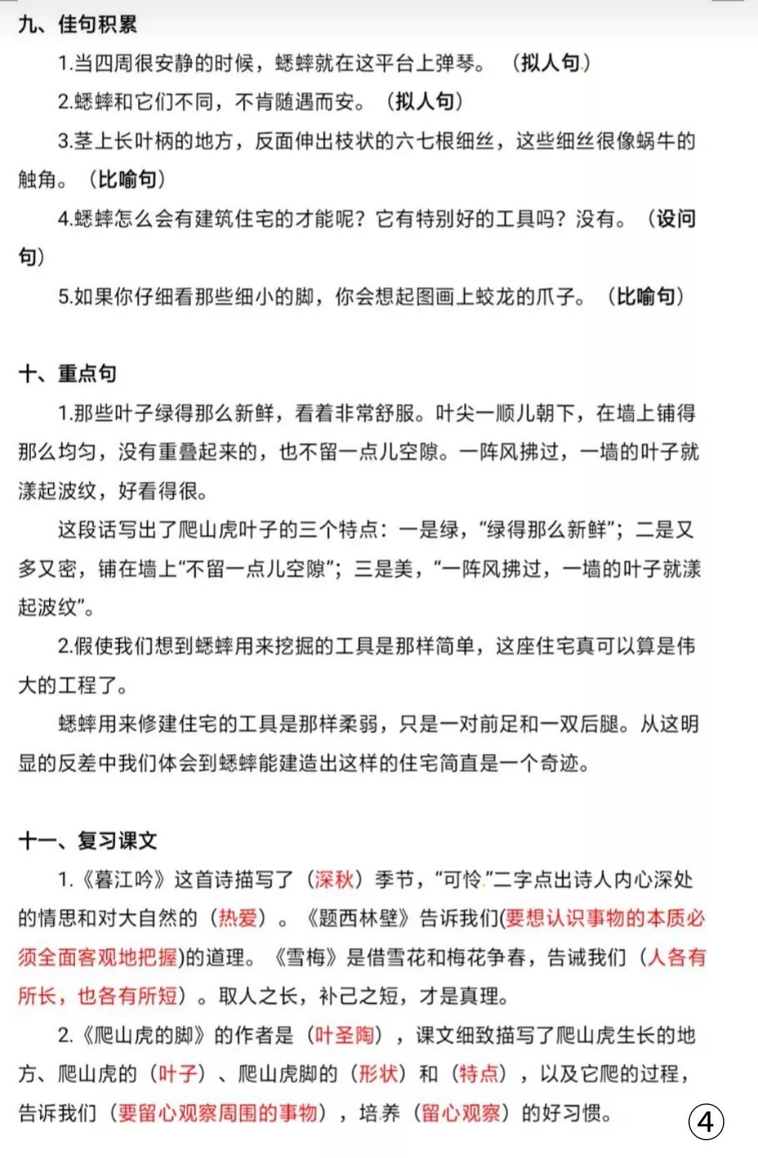 四年级上册语文期末单元知识总结,2021四年级上册语文第3单元测试卷