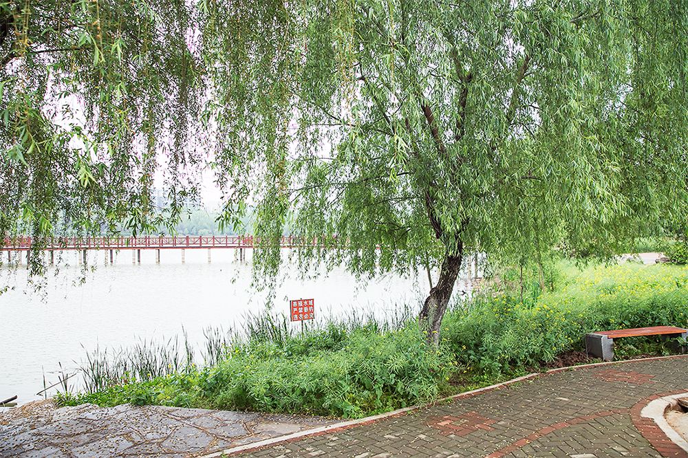 武科大算什么档次,武科大属于什么水平