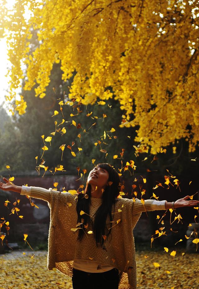 国家地理100个最美景观摄影点,全国银杏观赏地图