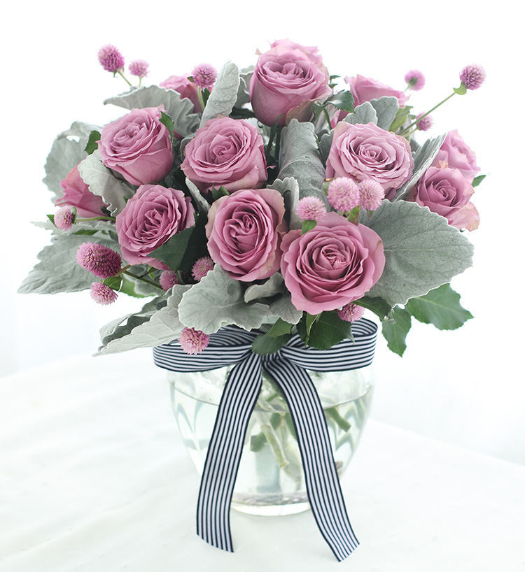 海洋之歌玫瑰花苗怎么养,如何养好盆栽海洋之歌玫瑰