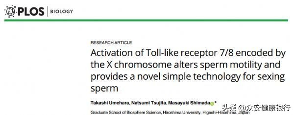 生男生女可以自己决定,生男生女可以自己决定吗电子书