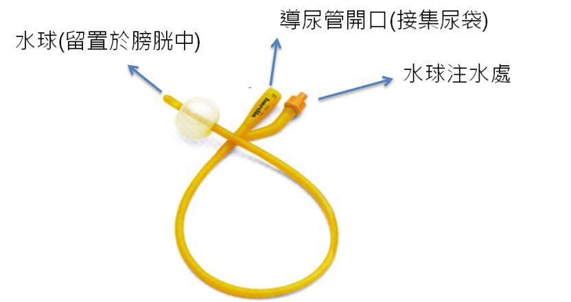 导尿管正确使用,导尿管怎么护理消毒