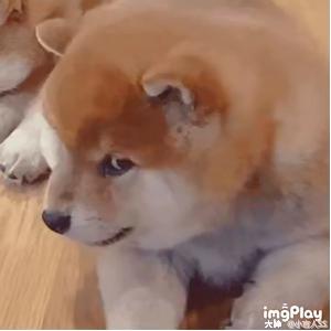 率土之滨新手初期玩法,率土之滨新手攻略30天