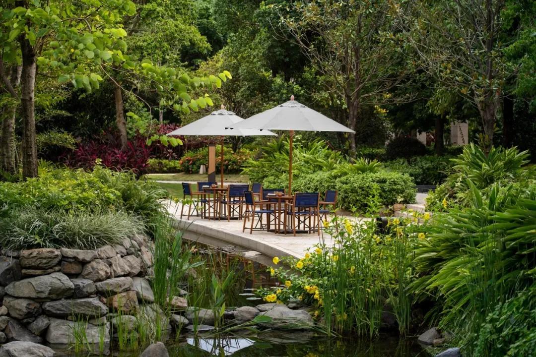 私藏菲律宾同款空中佛手，这座广东小城的落胃美食从早吃到晚