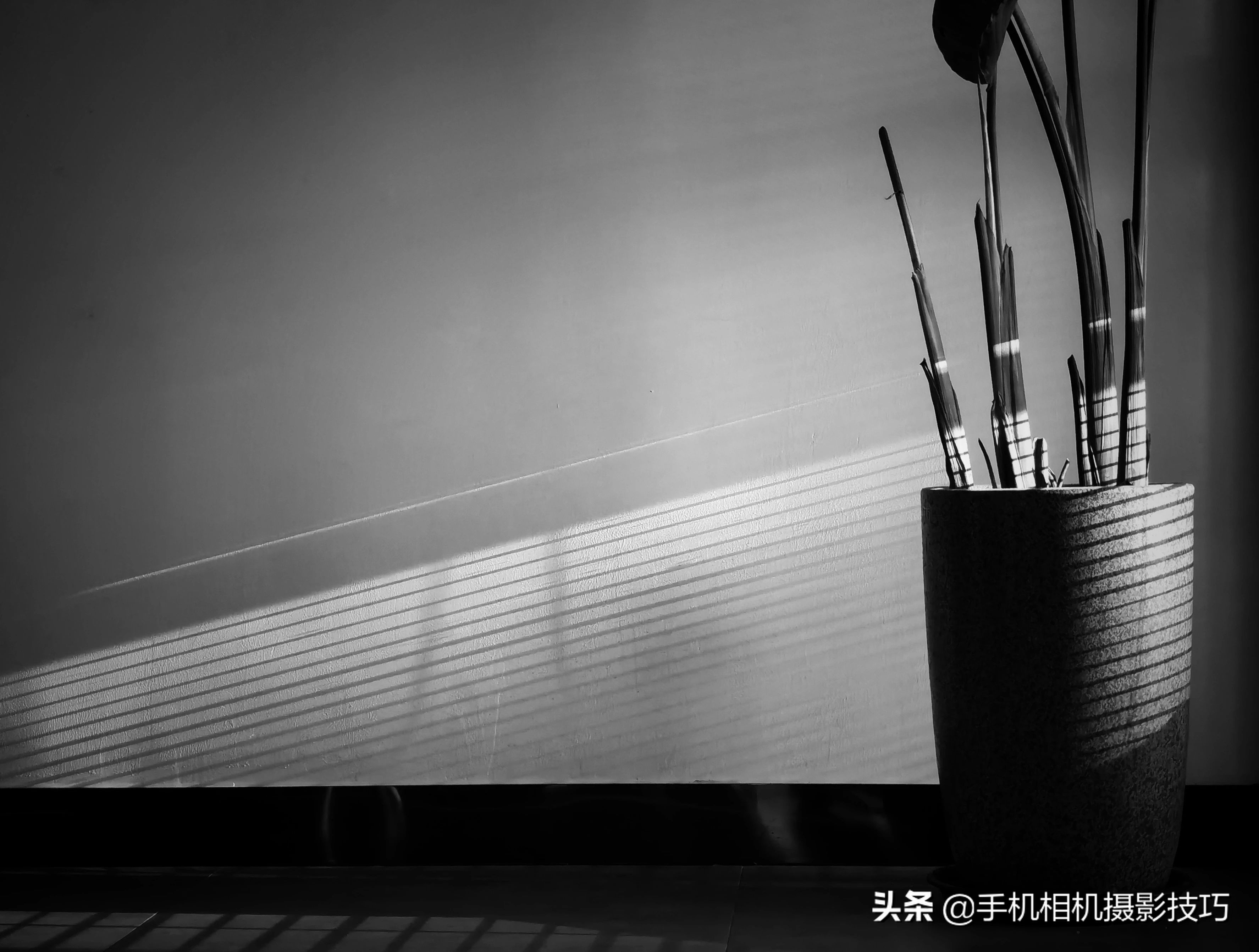 18幅普通人拍出来的好照片,18张普通人拍出来的好照片