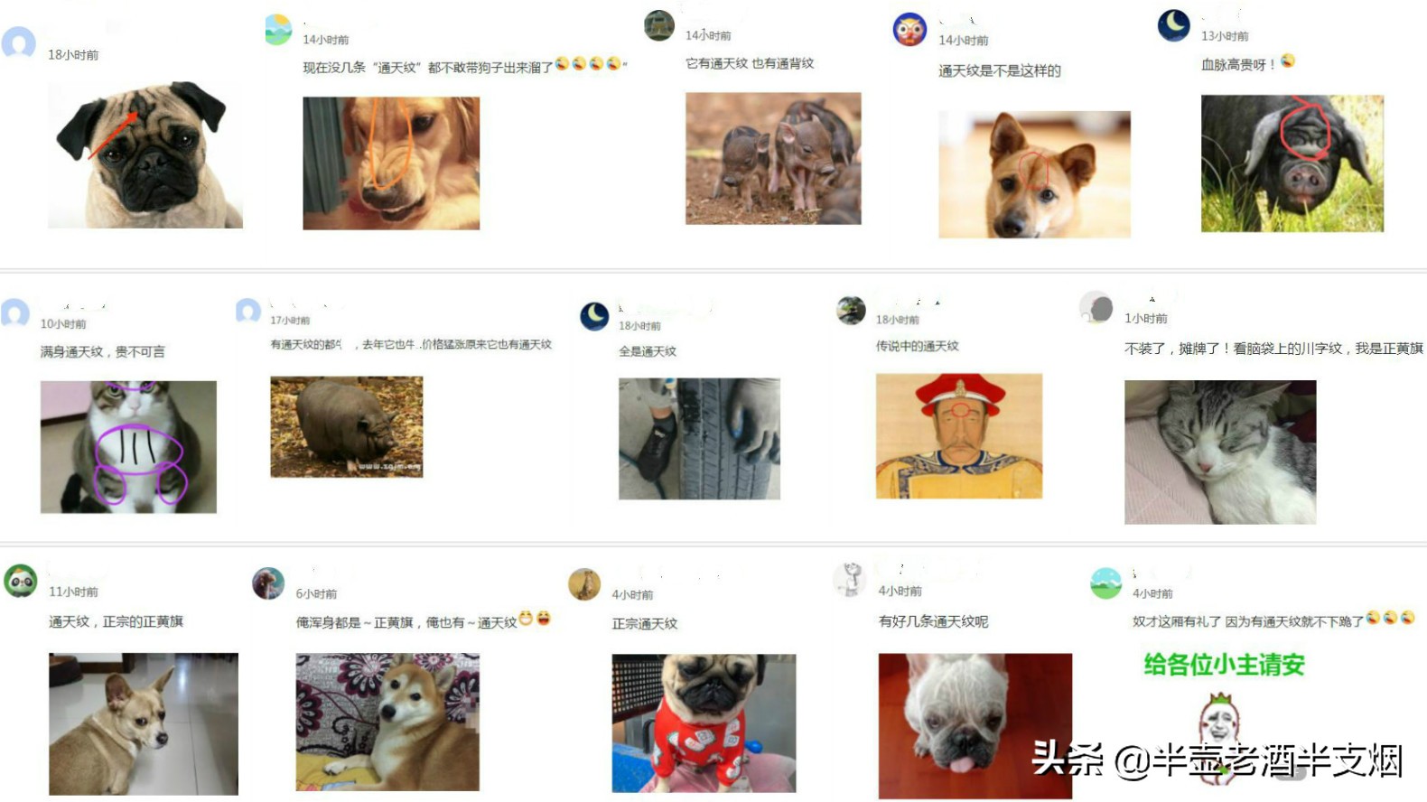 看这十五张评论图：正黄旗通天纹和周亚夫嘴角横纹有何不同之处？