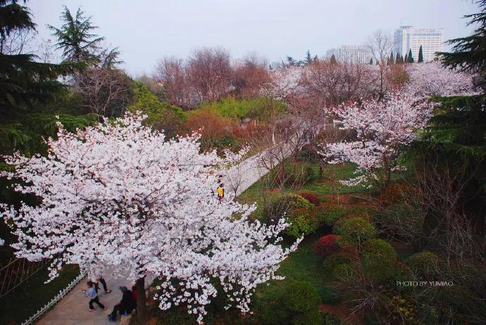 徐州清明假期旅游攻略,徐州春天去哪里旅游好