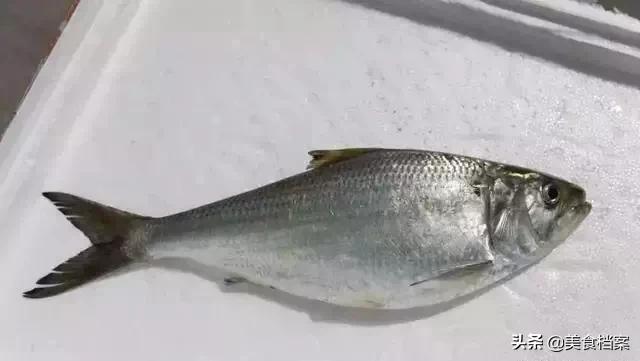 公认最好吃的十种鱼,公认最好吃的20种鱼