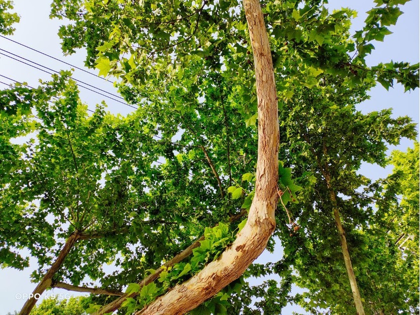 轻体验“对K套装”，大欧玩超值体验究竟如何？