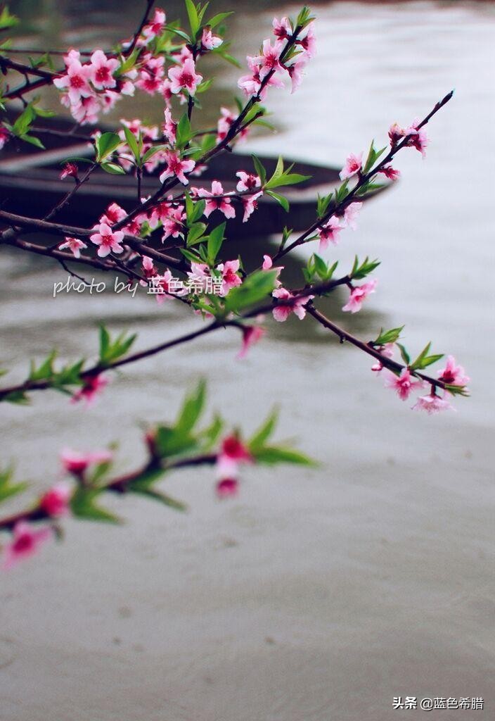 风景的摄影方法和鉴赏,摄影风景赏析