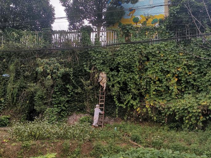 贵阳多地惊现此物，消防“连锅端”