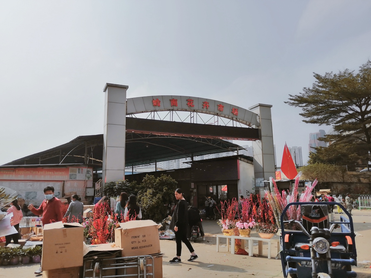 广州岭南花卉市场订花,广州岭南花卉市场攻略
