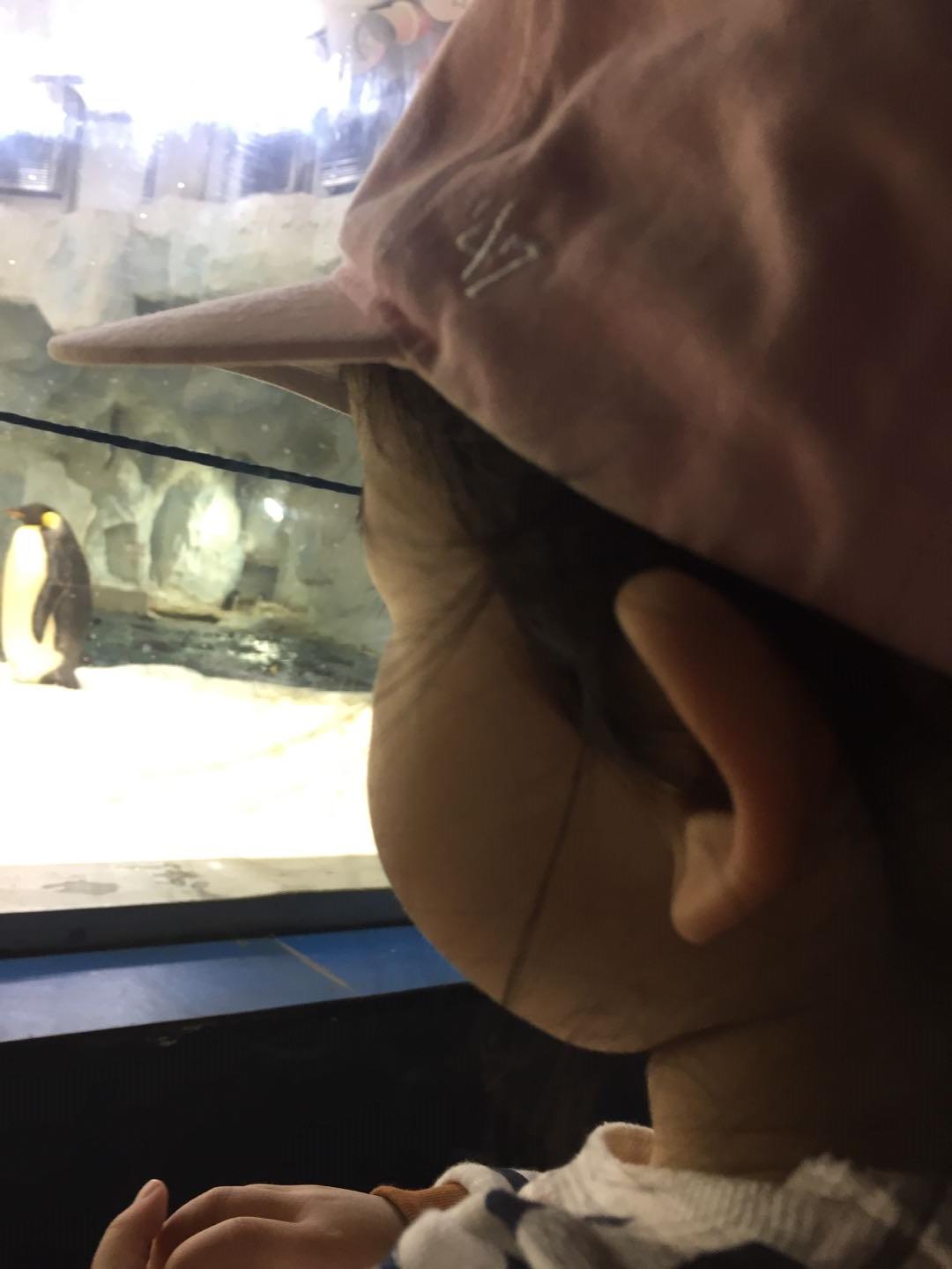 珠海长隆海洋王国附近美食,珠海长隆海洋王国官网预约