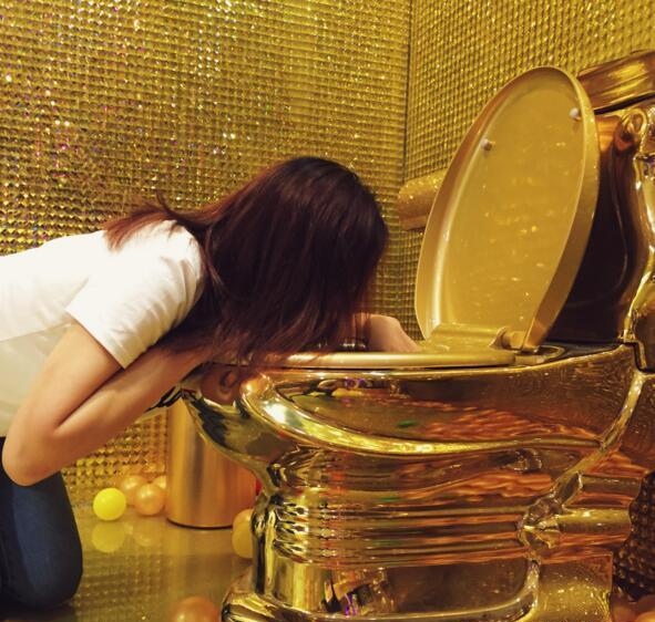 世界上最贵的便携式马桶,最贵的金马桶