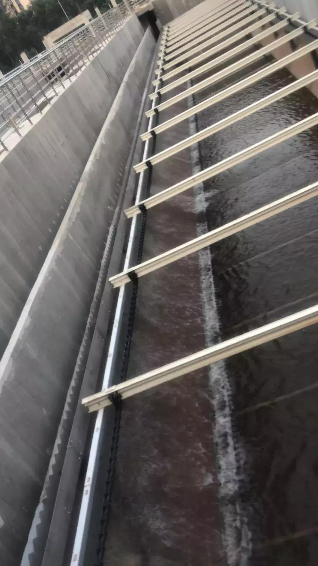 光明这些河流又有新变化，多个好消息密集来报~