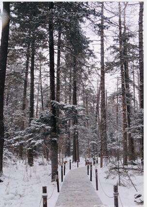 黑龙江牡丹江市有什么区,黑龙江牡丹江属于哪个地级市