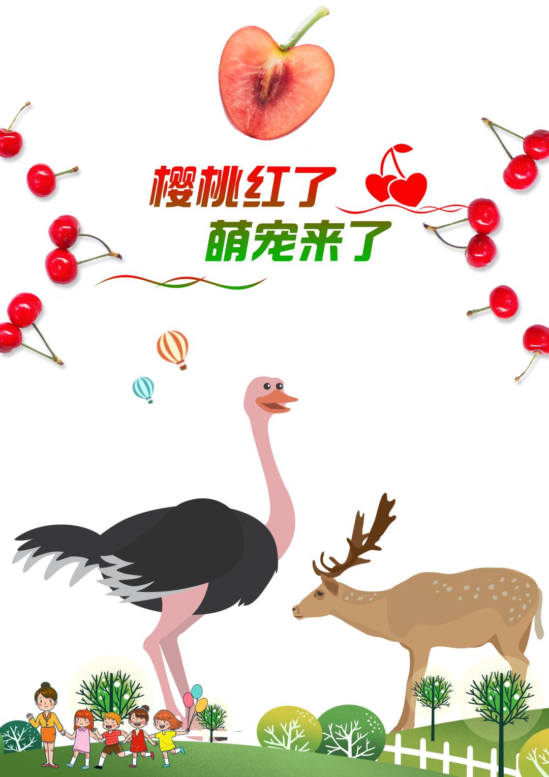 亲子游玩好去处欢乐果亲子农场,快乐六一亲子游农场游玩攻略来袭