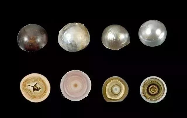 珠峰顶部岩石,珠峰顶部什么样子