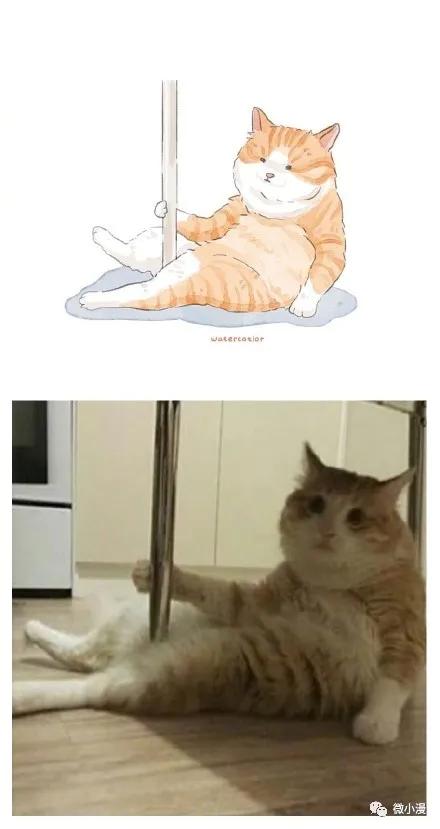 猫咪呆傻日常漫画,搞笑漫画喵星人为什么不开心