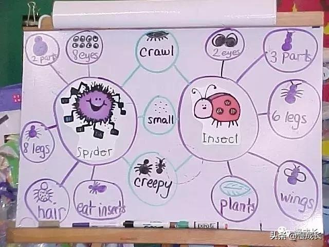 数123算7+6就是数学启蒙？5岁孩子的数学题真让我觉得自己out了