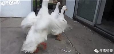 专门改善扁平足的运动,站着改善x型腿