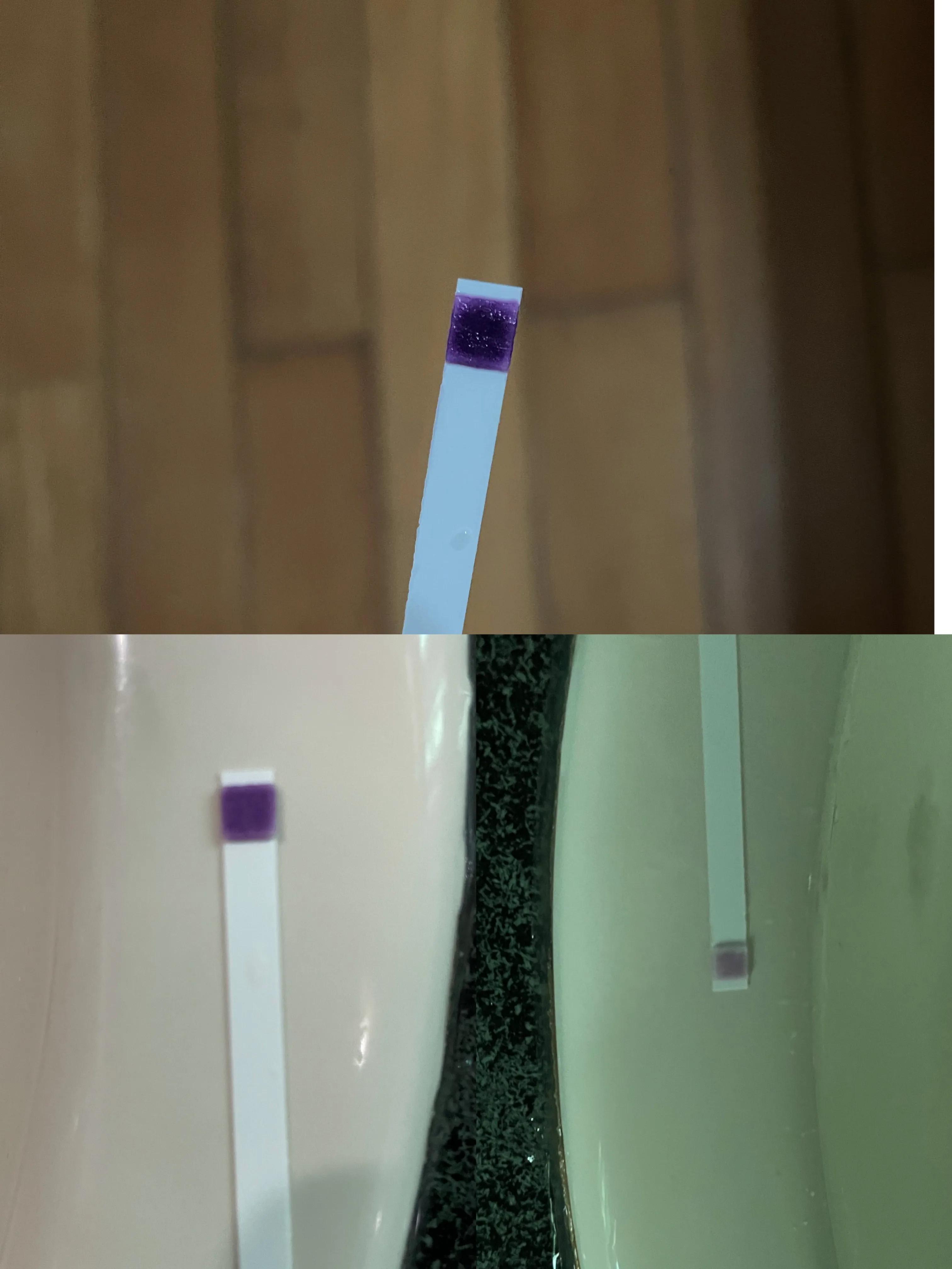 久减仍肥的宝妈在家清水辟谷21天第4天153-1476斤没了