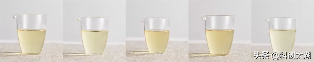 什么茶泡茶最好喝,哪些茶用开水冲泡好喝又健康