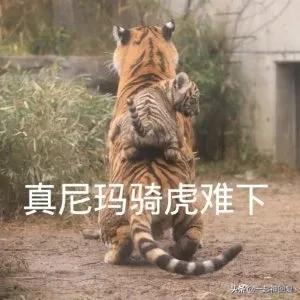 cctv7下午播出致富经,cctv致富经里的都是真实的故事吗