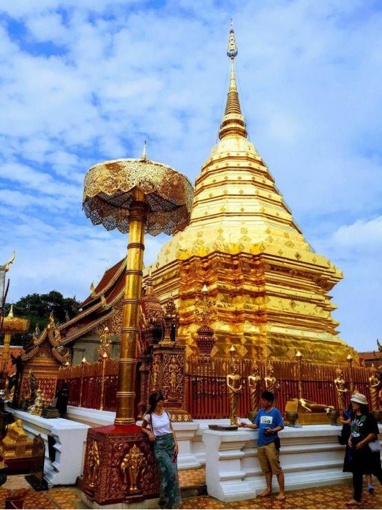 清迈大象义工,清迈大象救助营