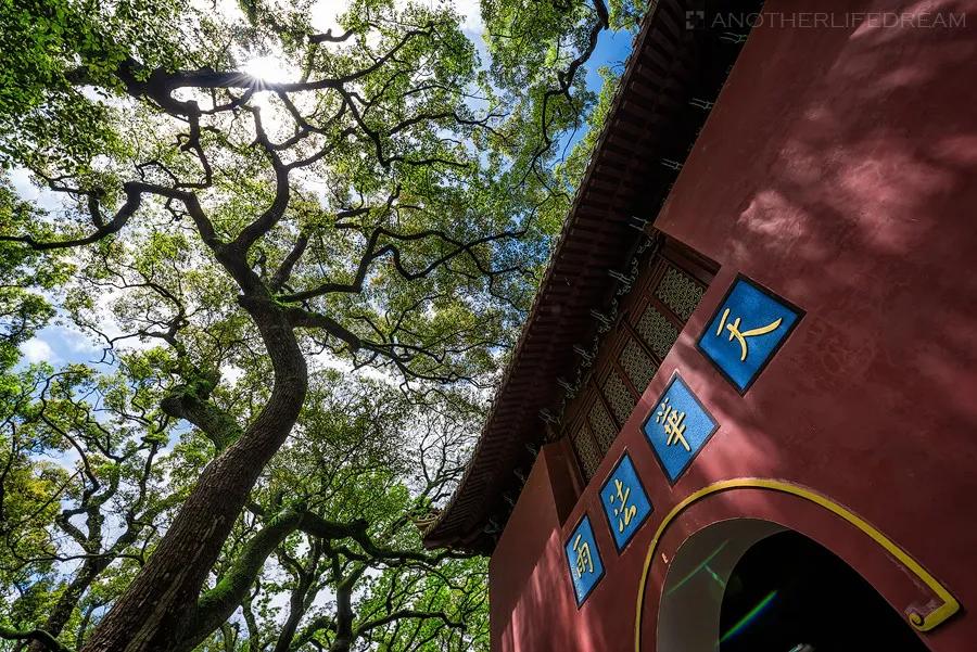 舟山吃住玩最全攻略,带你玩转舟山